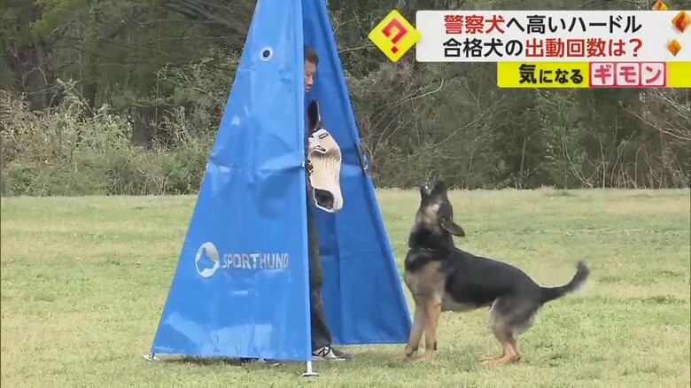 隠れている犯人を見つけ、吠える犬