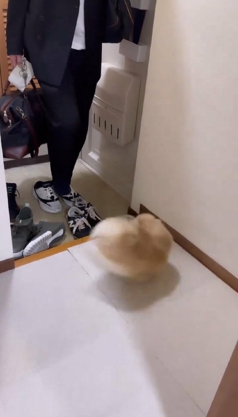 うれしそうな様子