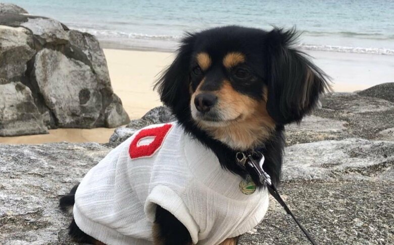 旅行先での一枚