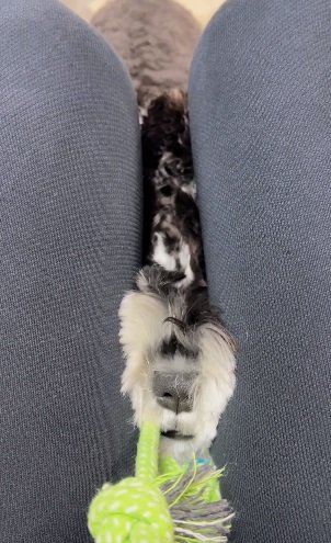 足の間に挟まっちゃった！