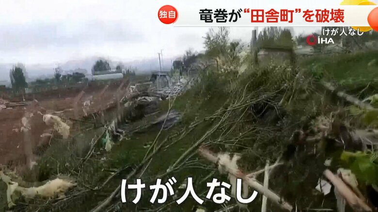 竜巻によってなぎ倒され木々