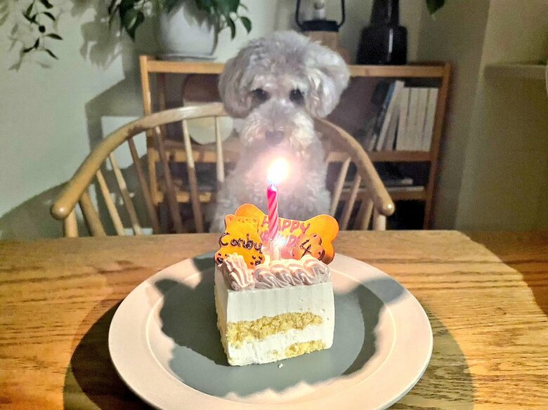 ろうそくに火をともしてハッピーバースデー