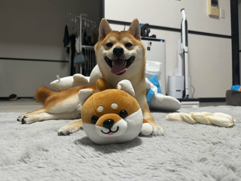 提供：わさび一族さん