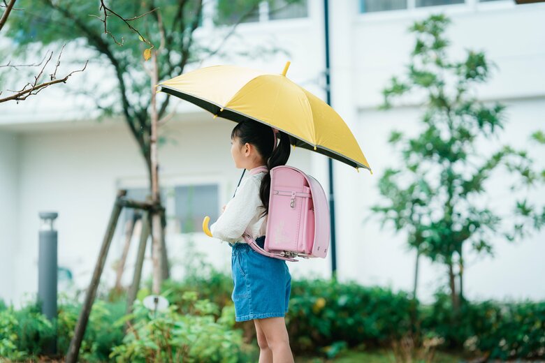 提供：株式会社ハシモト