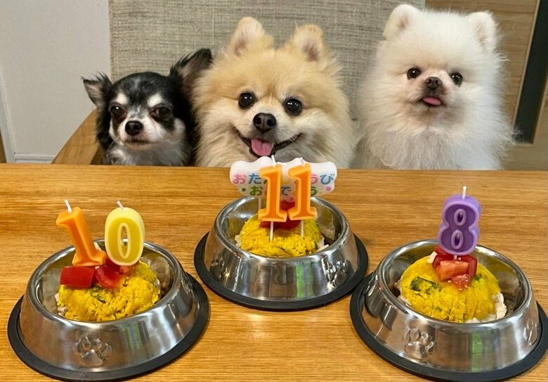 （左から）ちっぷちゃん、にんじゃくん、しんくん