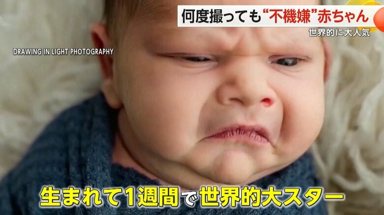 生まれてからわずか1週間で世界的な大スターになったトレントくん