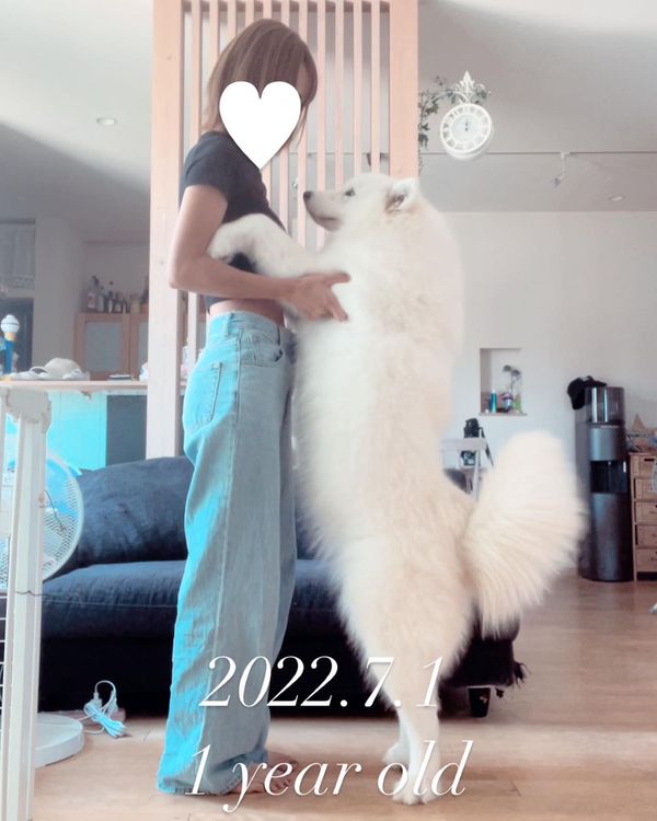 提供：ibukimama38さん