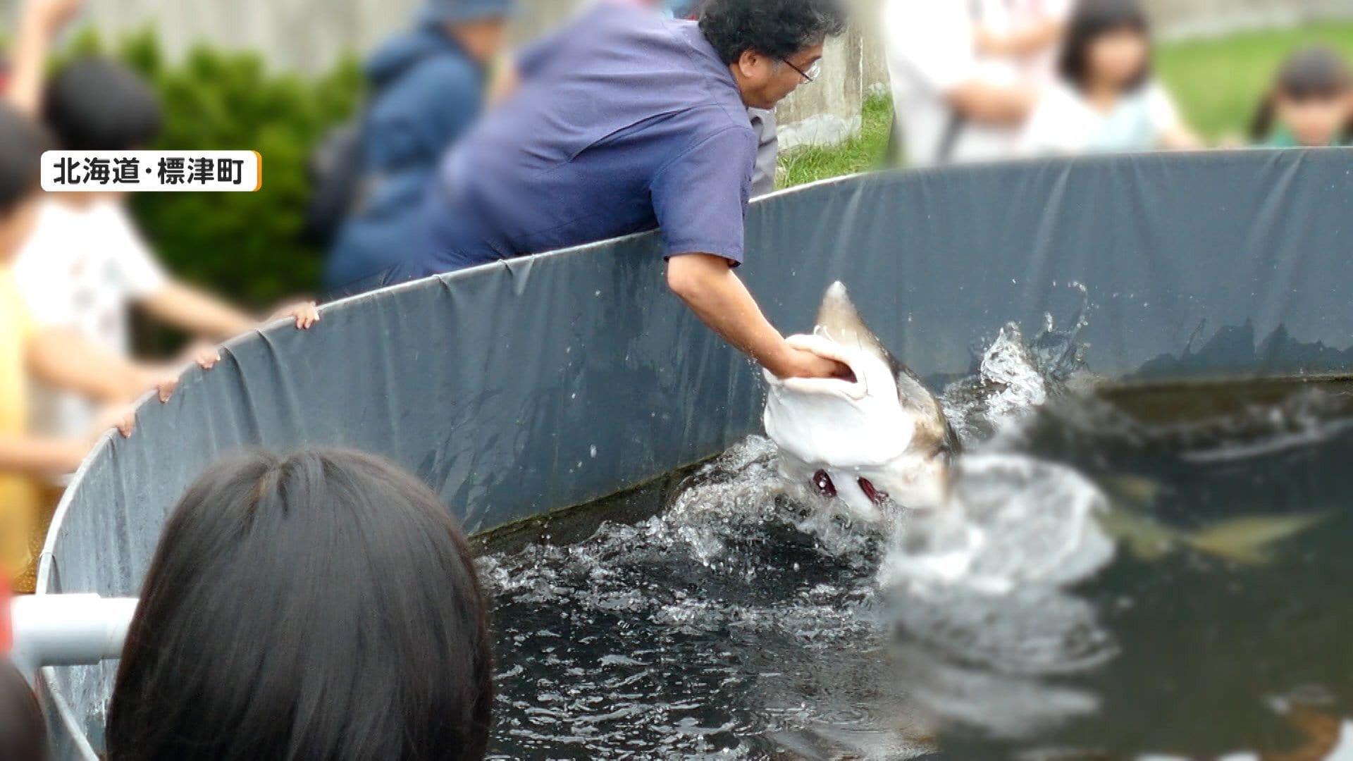 再生6000万回…チョウザメの“腕ガブ”ショー動画が大バズり 歯はないが