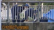 「女性が倒れている」と通報　橋の上で死亡、頭部に激しい損傷　ひき逃げか　福岡市