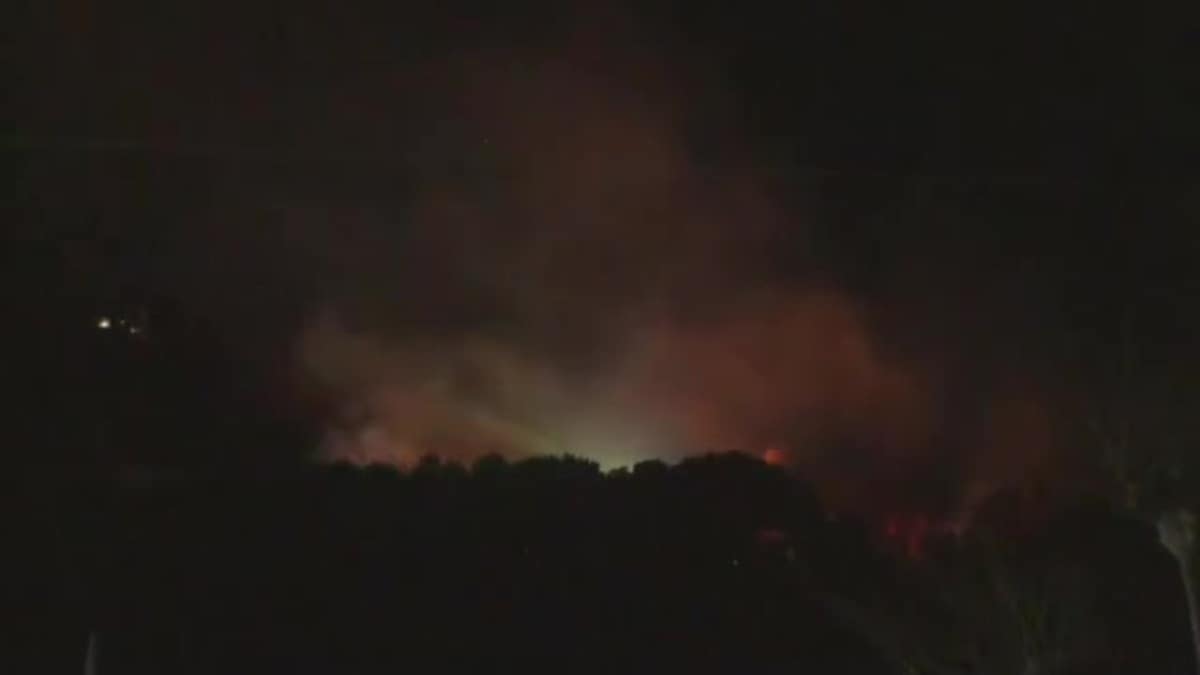 静岡県伊豆市で山林火災発生 消火活動続く 空き家1棟に燃え移るもケガ人なし