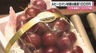 一房100万円「12年連続」の高級ブドウ　石川県産ルビーロマンの初競り