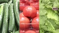猛暑で来月再び夏野菜高騰の可能性　店頭での平均小売価格キュウリ36％高、トマト23％高、レタス11％高