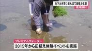 南阿蘇村で田植え体験イベント【熊本】