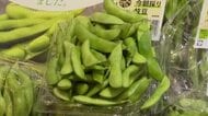 朝採れで鮮度抜群 「仙台産今朝採り枝豆」の販売スタート 甘みと香りに買い物客の反応も上々
