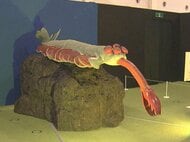 “デコりすぎ”や“優しすぎ”など…人気図鑑「わけあって絶滅しました。」展示イベント ナガシマスパーランドで5/10まで