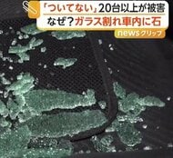 「ついていない」上信越道・新井PAで車20台以上に被害　強風で飛んだ小石が窓ガラスを直撃か　新潟・妙高市