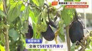 【台風6号】高知の農業被害額は1億1700万円超　ハウスやショウガに打撃、被害額は増える見通し
