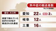 80代女性が重症…13日の“熱中症”搬送者は愛知22人 岐阜12人 三重16人 14日は三重に東海3県で今季初の警戒アラート