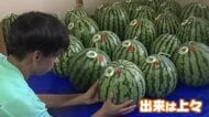 シャリシャリ食感で「甘くておいしい！」　中学生が育てた特産スイカを収穫　「しらやま西瓜」の農家が指導　8日に地元の農家レストランで販売　