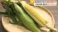 鹿児島市で「旬のキャンペーン」開幕　スイートコーンが人気　地元野菜と加工品の魅力を発信