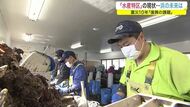 「後継者いない…」漁業復興のジレンマ 津波で水産業壊滅から10年【宮城発】