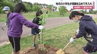 「きれいな花が咲くように」 小学生が桜の苗木を植える 沖縄