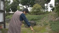 富山市大沢野地域でクマ目撃、住宅敷地内を横切る 「のそのそと歩いてきた」ごみ出し直前の住民驚き