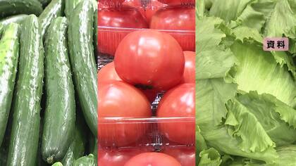 猛暑で来月再び夏野菜高騰の可能性　店頭での平均小売価格キュウリ36％高、トマト23％高、レタス11％高