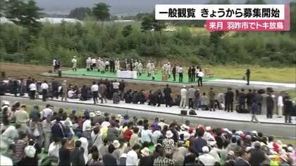 羽咋市で来月「トキ放鳥」　一般観覧者を募集
