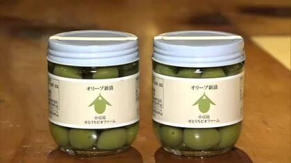 小豆島のオリーブの新漬け　消費者のニーズに応え通年販売に　地元のしょうゆ蔵元で瓶詰め作業進む【香川】
