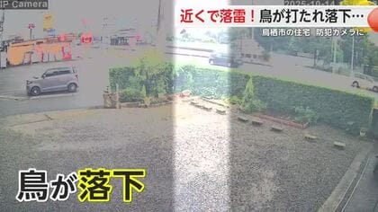【防カメ映像】落雷で“鳥”が落下の瞬間　鳥栖市宿町　唐津市でも急に雨強まる【佐賀県】