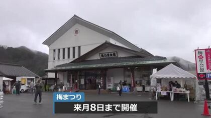 福井梅産地の若狭町　恒例の「梅まつり」にぎわう　週末は特別イベント　３月８日まで開催中