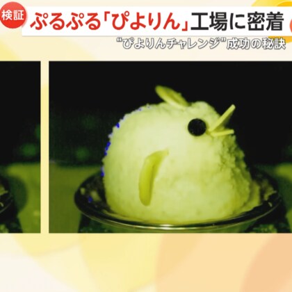 【300万個超えの人気スイーツ】すぐ壊れる…“ぷるぷる”の秘密を取材　SNSで話題の“ぴよりんチャレンジ”成功の秘訣は「愛情」