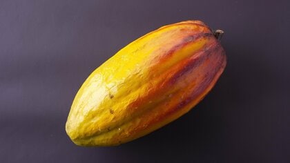 代替チョコレートはカカオ不足の救世主？製造メーカーに聞いた開発の経緯とチョコレートとの気になる違い