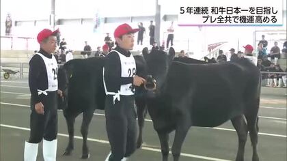 1年後の全国和牛能力共進会に向け機運醸成　都城市で「プレ全共」開催