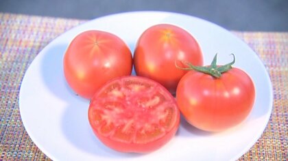 「体が欲しがるトマト」って？甘さより栄養価を追求…人気の秘密に迫る　全国コンテストでグランプリ受賞【佐賀発】