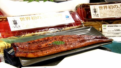 世界初「完全養殖うなぎ」発売　設備増・機械化で課題のコスト減へ