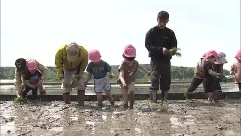 「おコメ好き！」園児が田植えを体験　8月下旬に稲刈りし、おにぎりで味わう　福井