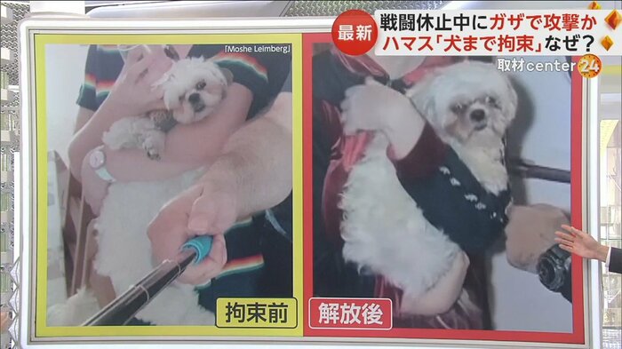 約50日間の拘束の間に毛が伸び、毛玉ができているが、特に痩せてしまった様子は確認できない