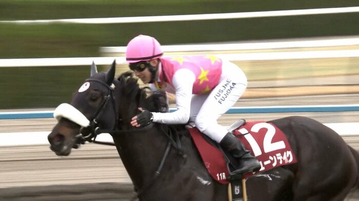 京都記念勝ち馬ジューンテイク