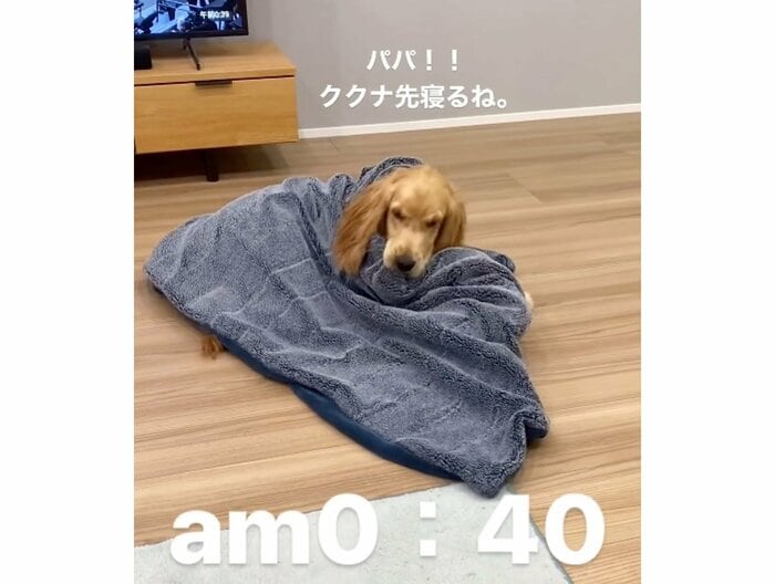パパ!先寝るね(提供:関口和也さん)