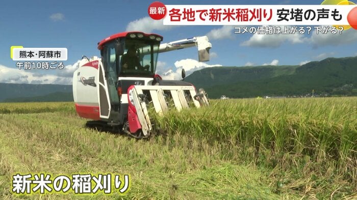 熊本・阿蘇市で始まった新米の稲刈り