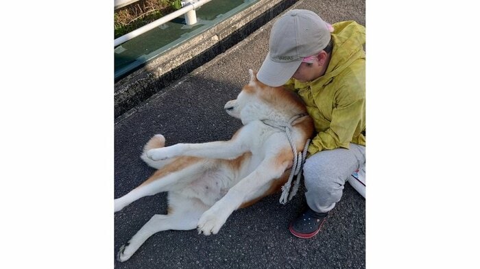 あおむけにするのが一番効果があり、動いてくれるようになる