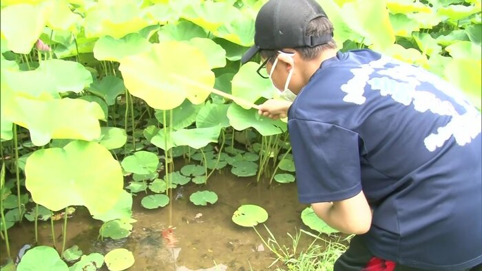 池に竿を入れて…とれた!