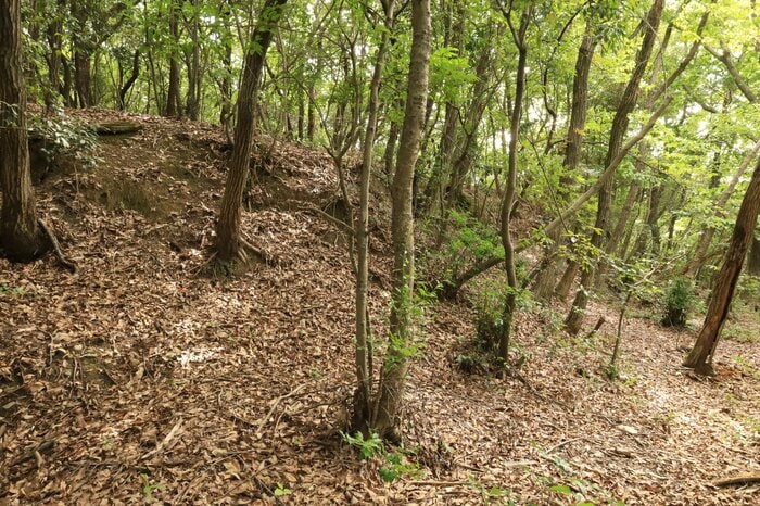 現在の三木市役所そばに残る三木城の支城・鷹尾山城。別所方の城だったが落城し、秀吉の降伏勧告はここから行われたという