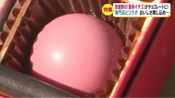 夏秋イチゴを生かしたチョコレート