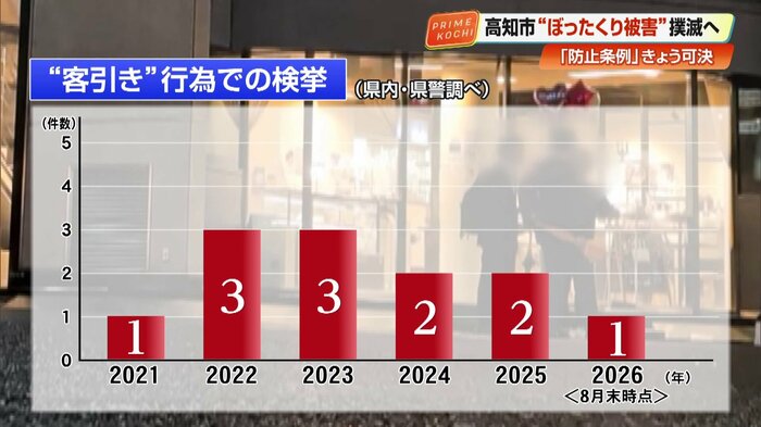 検挙件数だけ見れば被害は少ないように思えるが…
