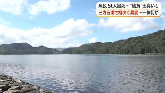 近年はシジミの不漁も問題に