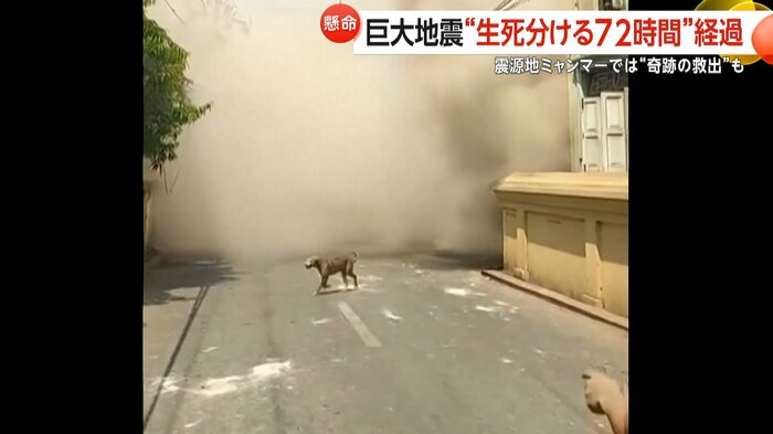 砂煙から犬が逃げ出す
