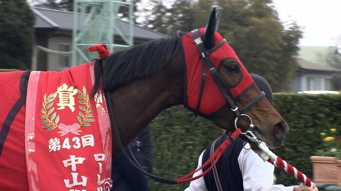 今年の中山牝馬Sを制したシランケド